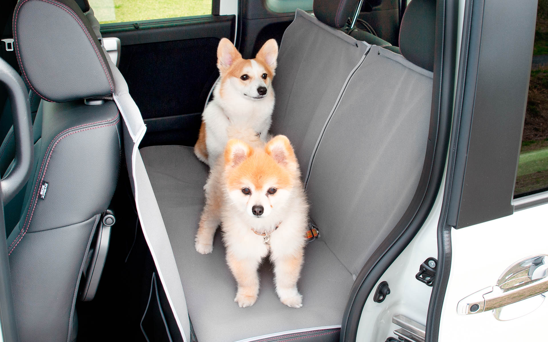 後席を愛犬専用スペースにできる「ペットシートマット」