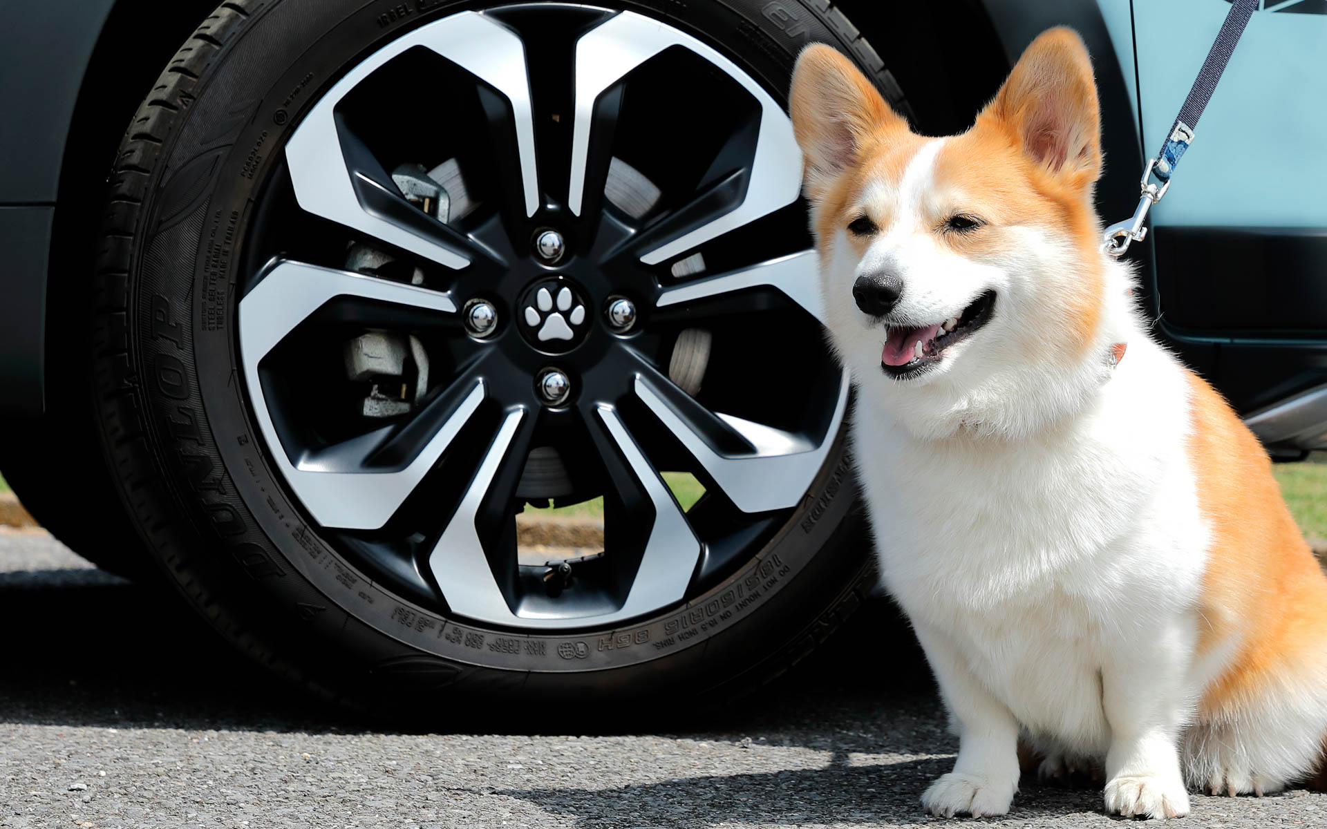 肉球デザインの「ペットセンターキャップ」