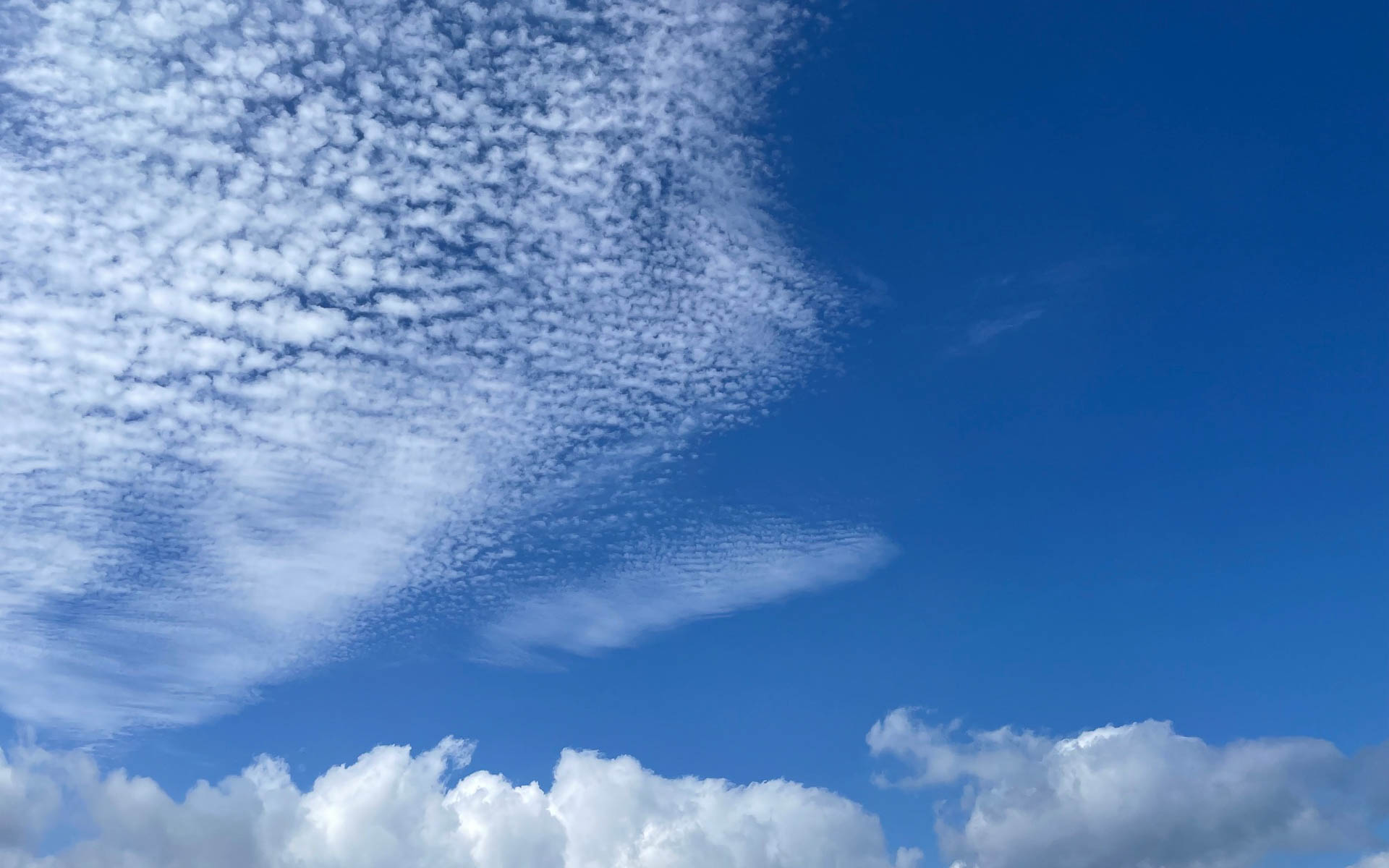翌日の空はみるみる雲が流れ、高く澄んでいました