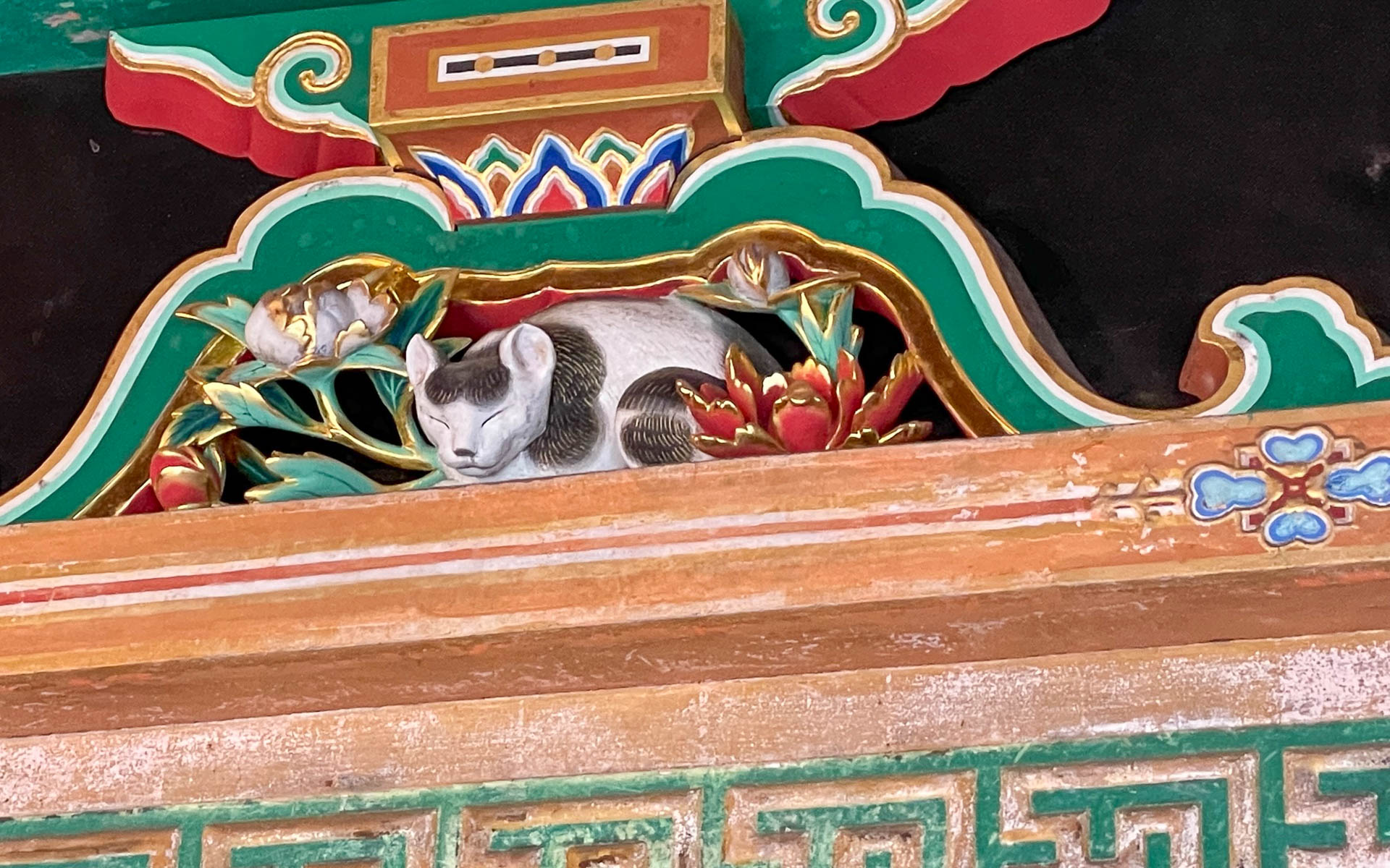 有名な猫さん。また別の機会に