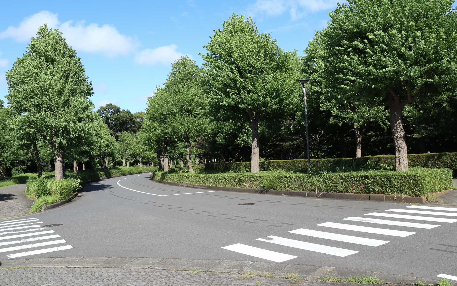 緑豊かなキャンパス内では樹木などの影響でGNSSを活用できない場面も多く、ターゲットラインペイントによるLiDARセンサーの自車位置補正も効果的に働く