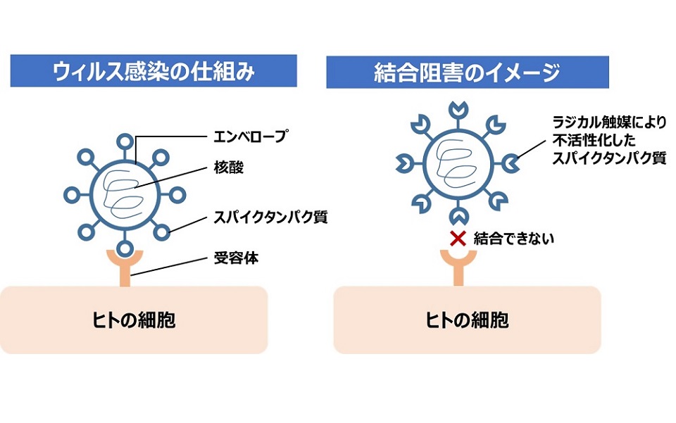 日産と東北大学などは、ウイルスを不活性化する「空気酸化触媒技術」の開発に成功したと発表した