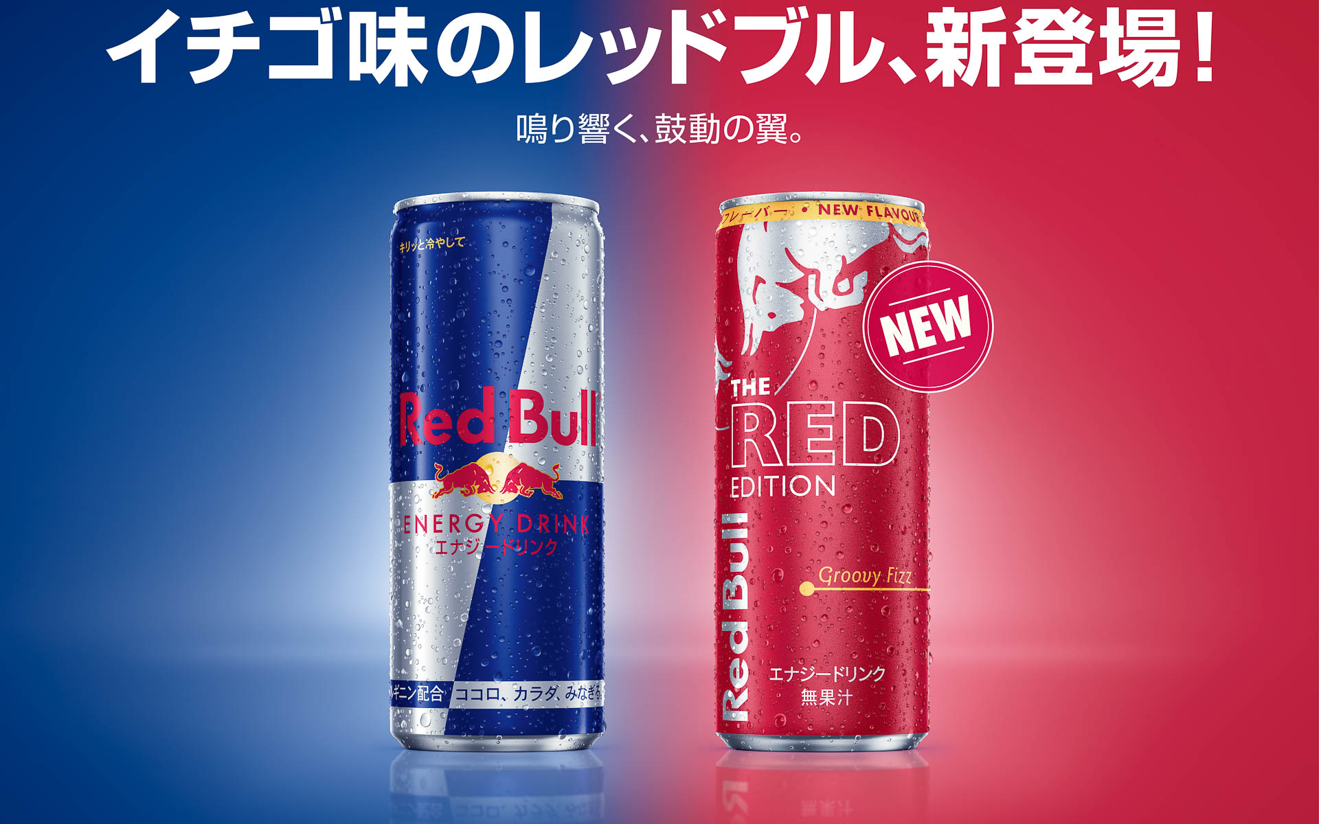 レッドブル・エナジードリンク レッドエディション（右）