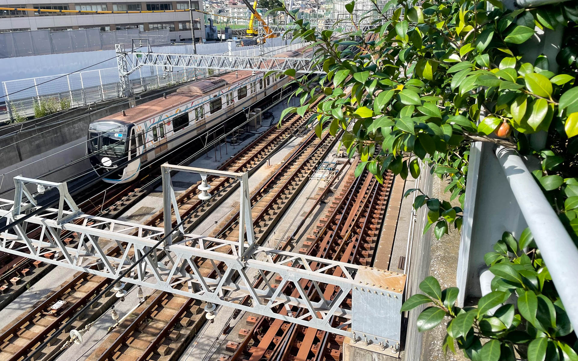 目黒線の下りを通過していく電車。手前の線路は大井町線。春は桜がきれいです