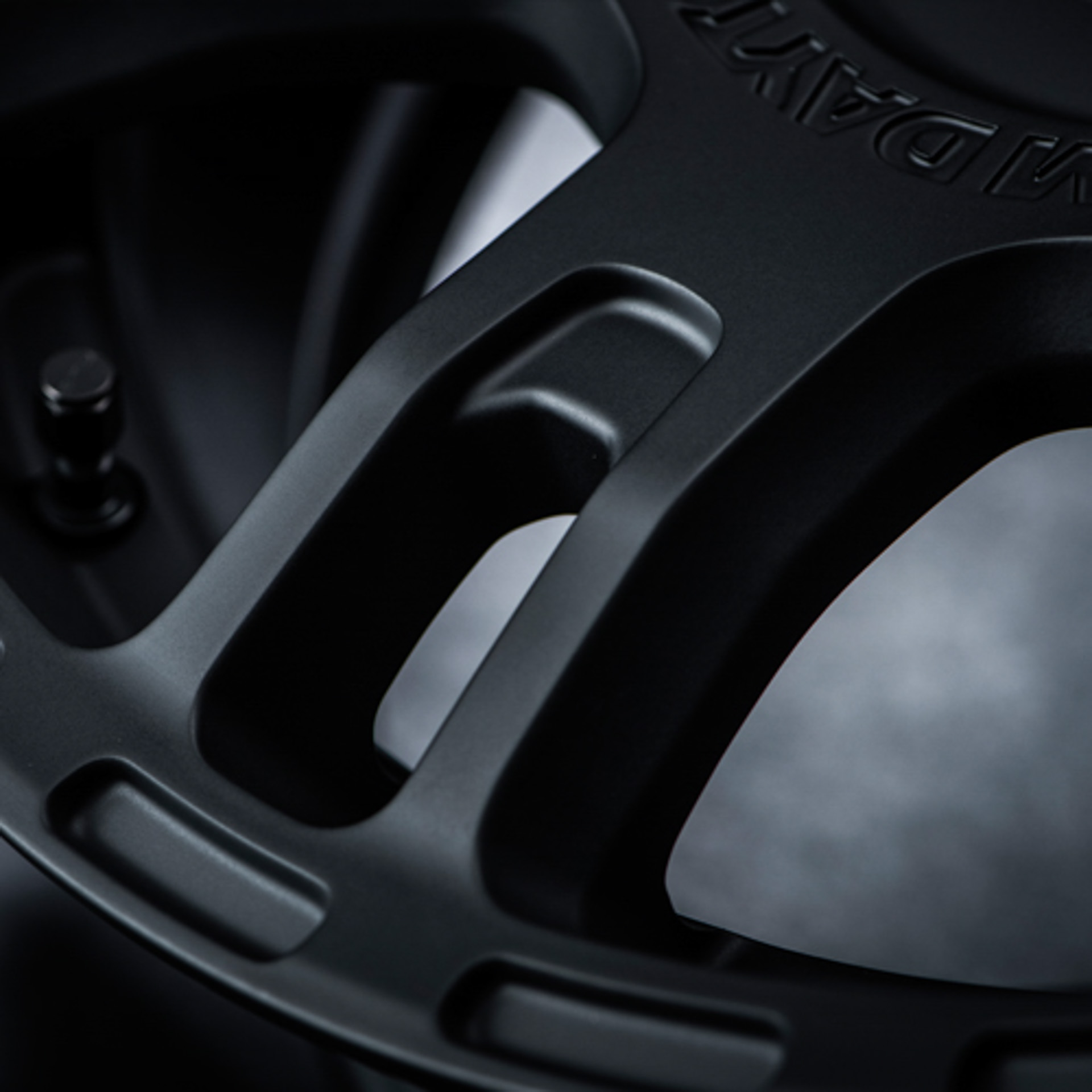 力強くスポーティな印象を与えるディスクデザイン