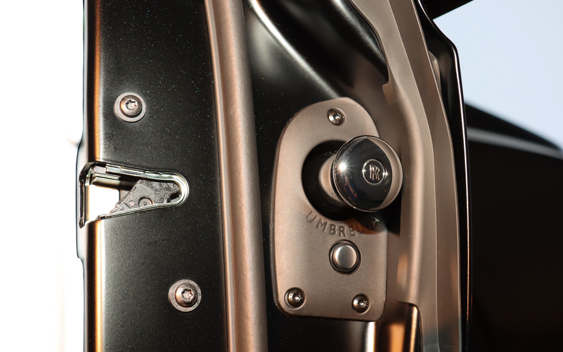 リアドアに傘を収納している