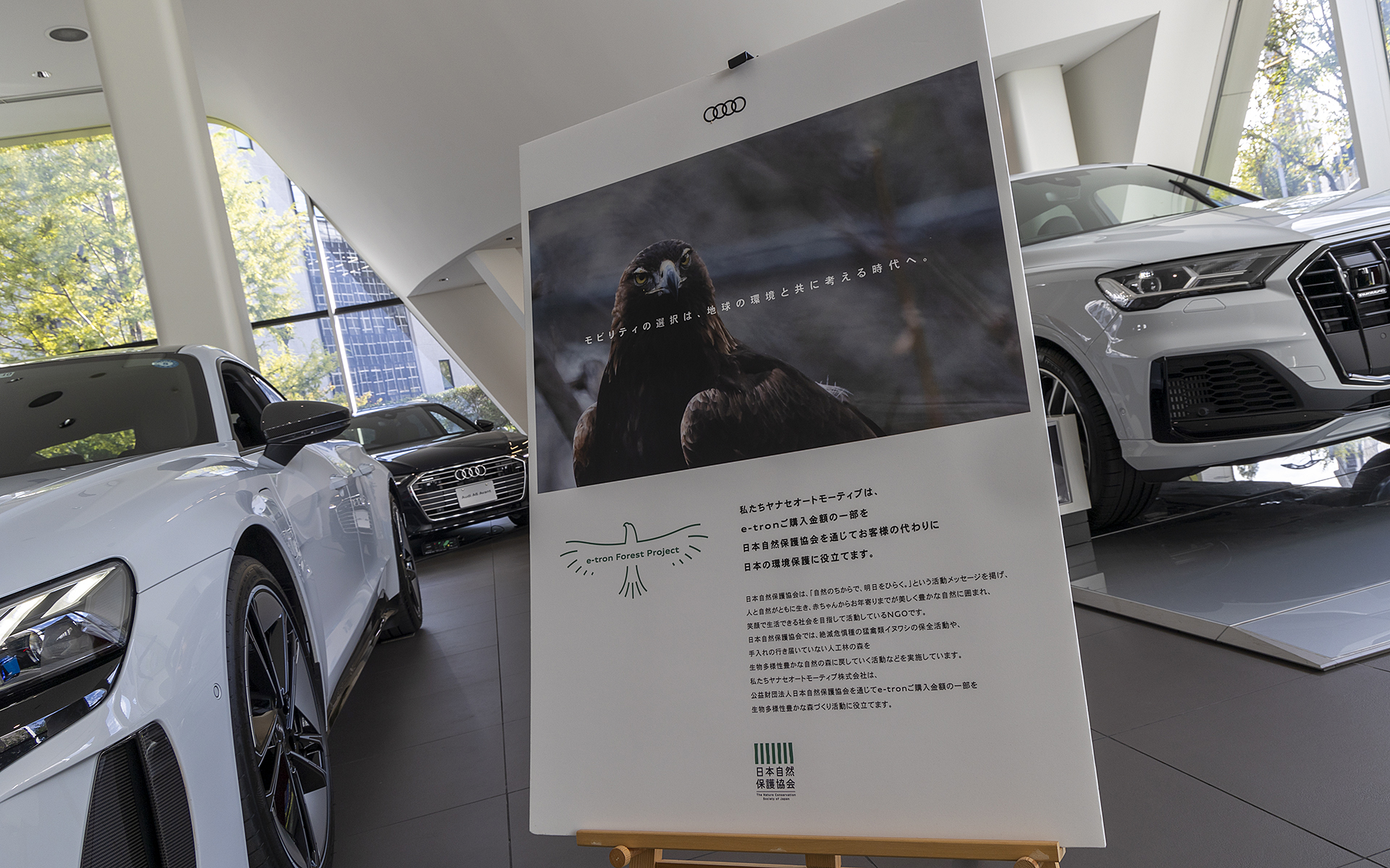 公益財団法人 自然保護協会が手掛ける日本の山にある林の環境改善活動。この活動はそうした場所に住む、絶滅危惧種のイヌワシの保全にもつながっているものだという