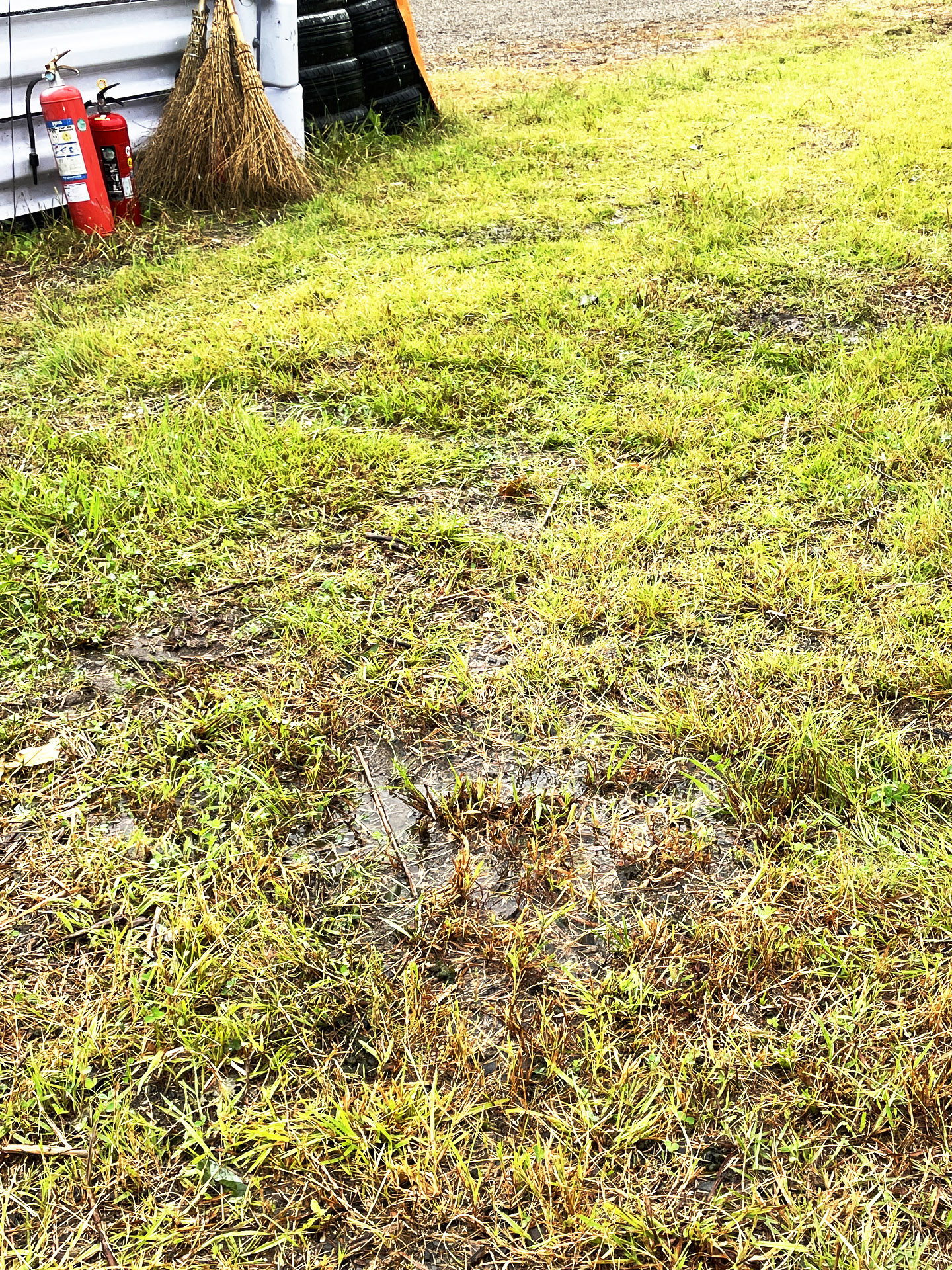 至るところに水たまり