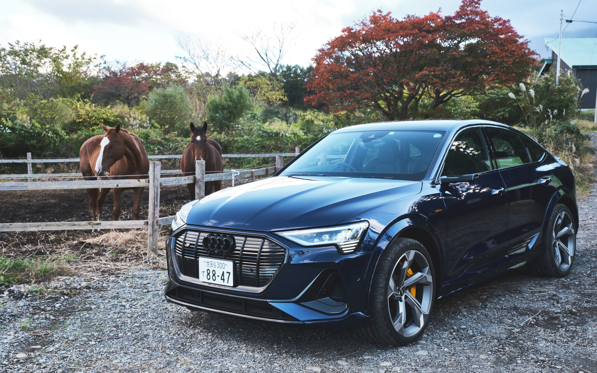 マッシュルームファームの「ジオファーム八幡平」では循環型農業のお手本を見ることができた