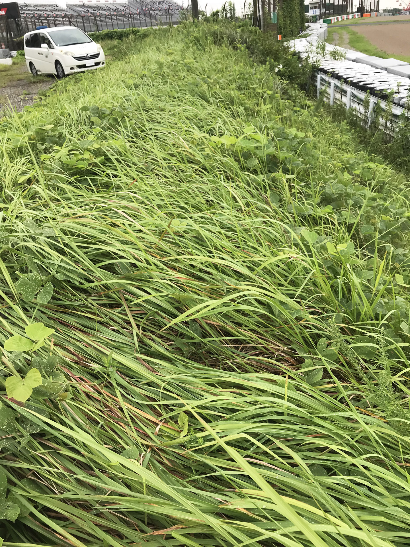 場所は少し違うが昨年夏のこの付近の様子。左上がQ2席スタンド