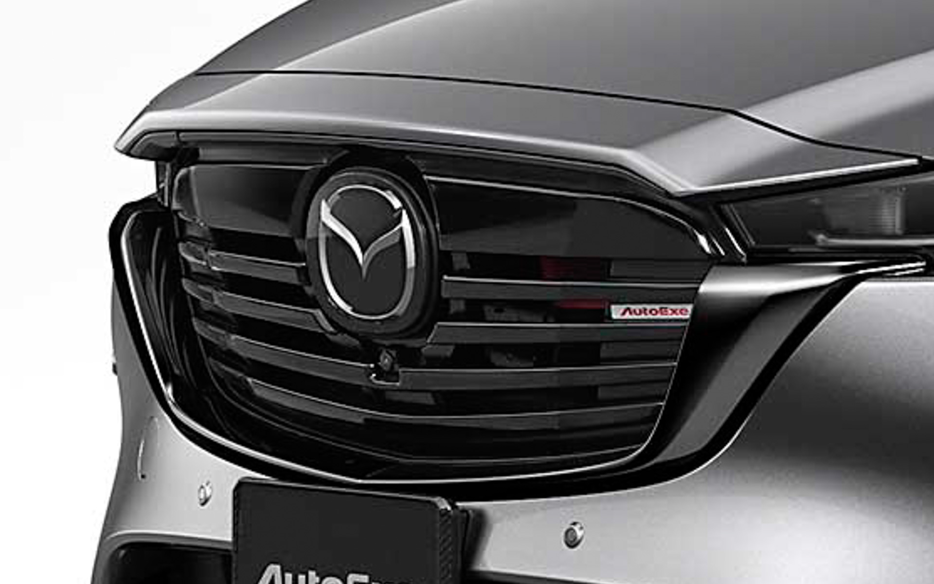 フロントグリルは表面にピアノブラック、凹部に艶消しブラック塗装を施したフィンタイプを採用（9万200円）