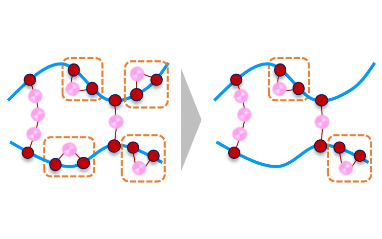 環状構造の発生コントロールイメージ