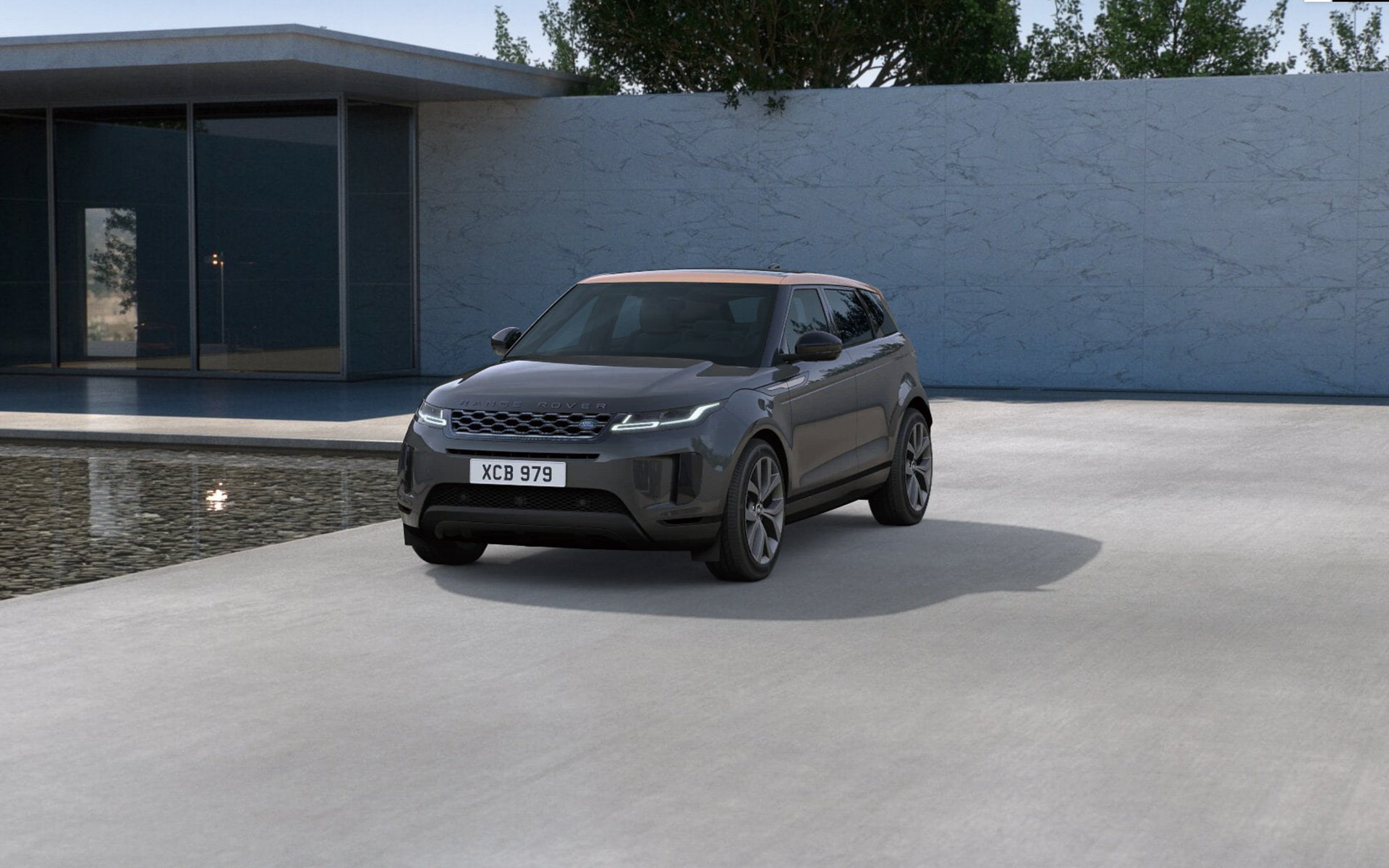 カルパチアングレイ