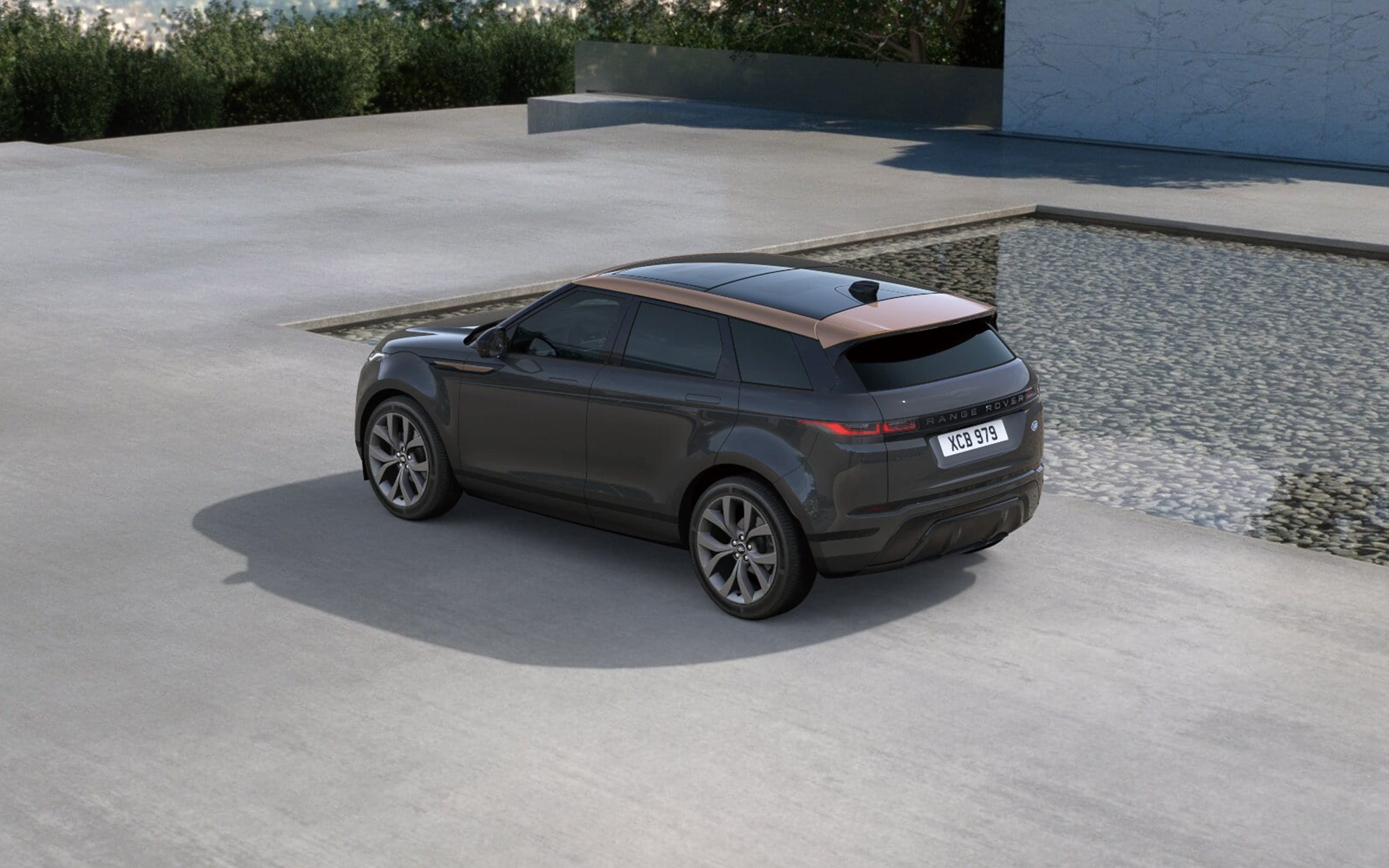 カルパチアングレイ