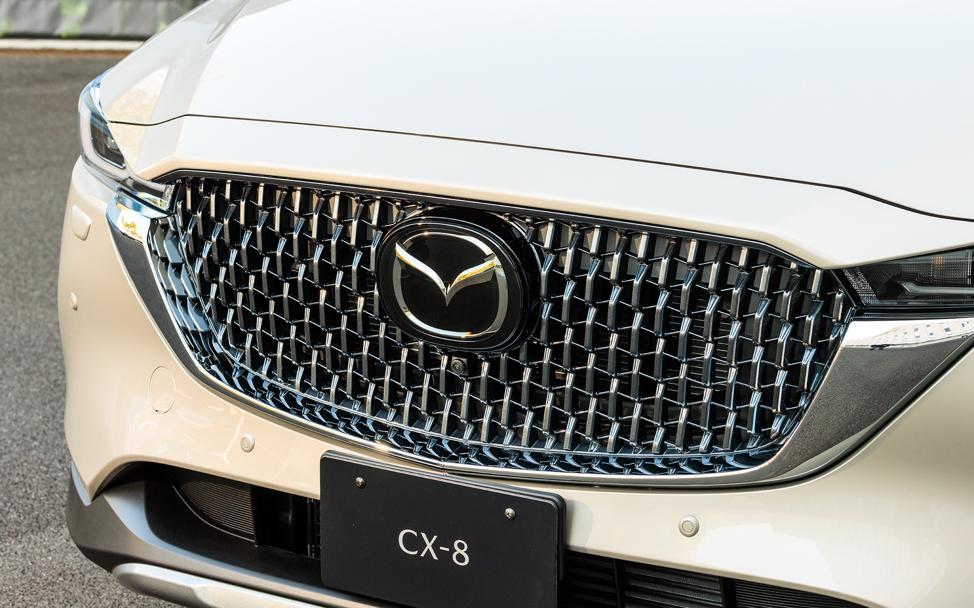 フロントグリルには高級感のあるブロックメッシュパターンを採用。カラーはガンメタリック