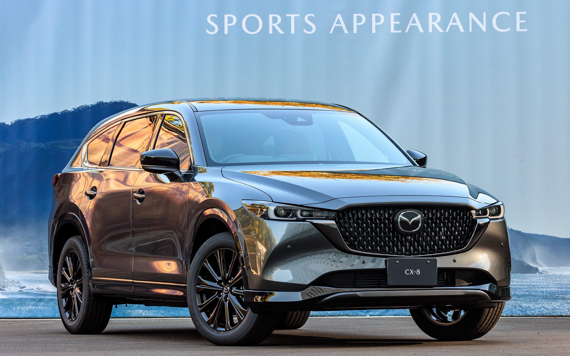 撮影車両のボディカラーはマシーングレープレミアムメタリック