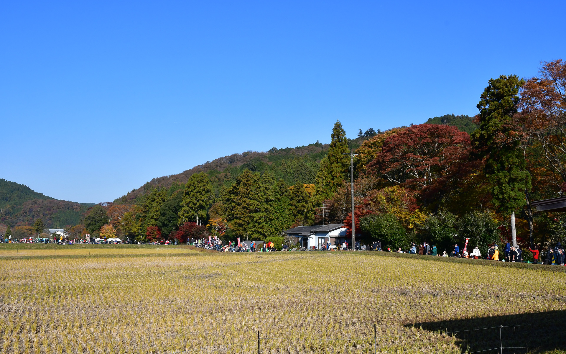 三河湖SSは紅葉がとてもきれいだった