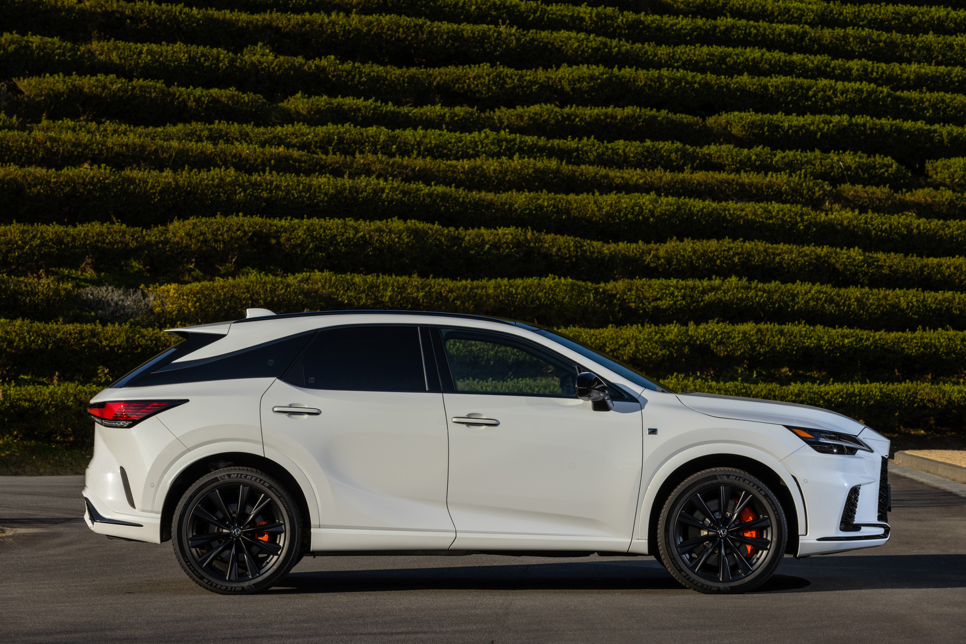 RX500h “F SPORT Performance”（ホワイトノーヴァガラスフレーク）＜オプション装着車＞