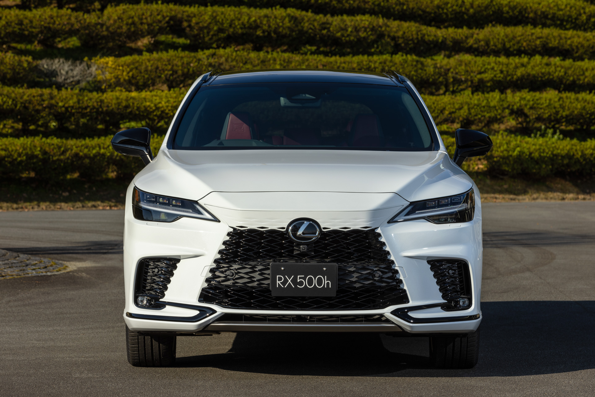 RX500h “F SPORT Performance”（ホワイトノーヴァガラスフレーク）＜オプション装着車＞