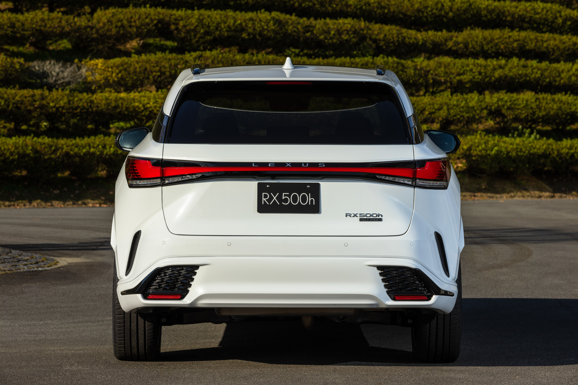 RX500h “F SPORT Performance”（ホワイトノーヴァガラスフレーク）＜オプション装着車＞