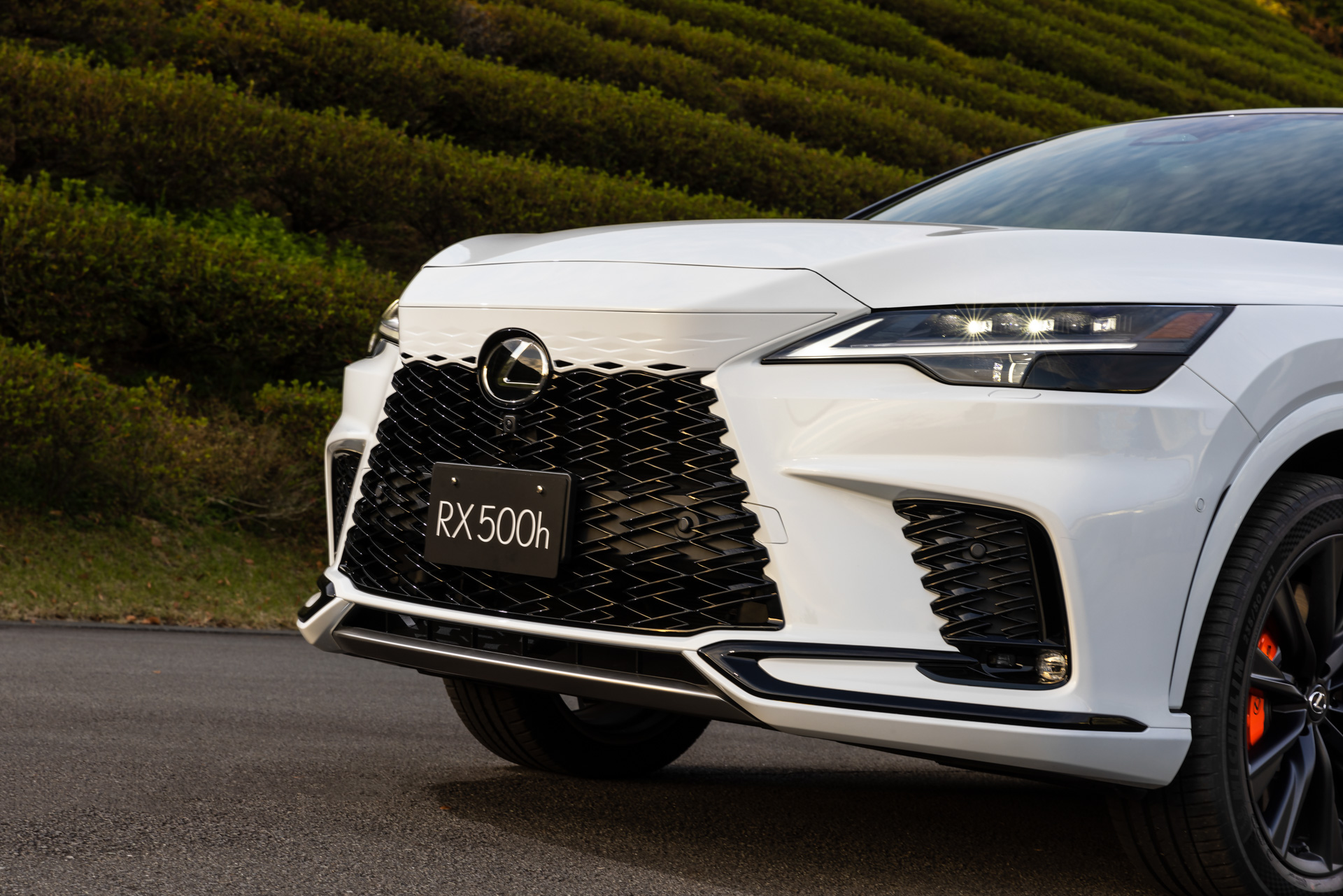 RX500h “F SPORT Performance”（ホワイトノーヴァガラスフレーク）＜オプション装着車＞