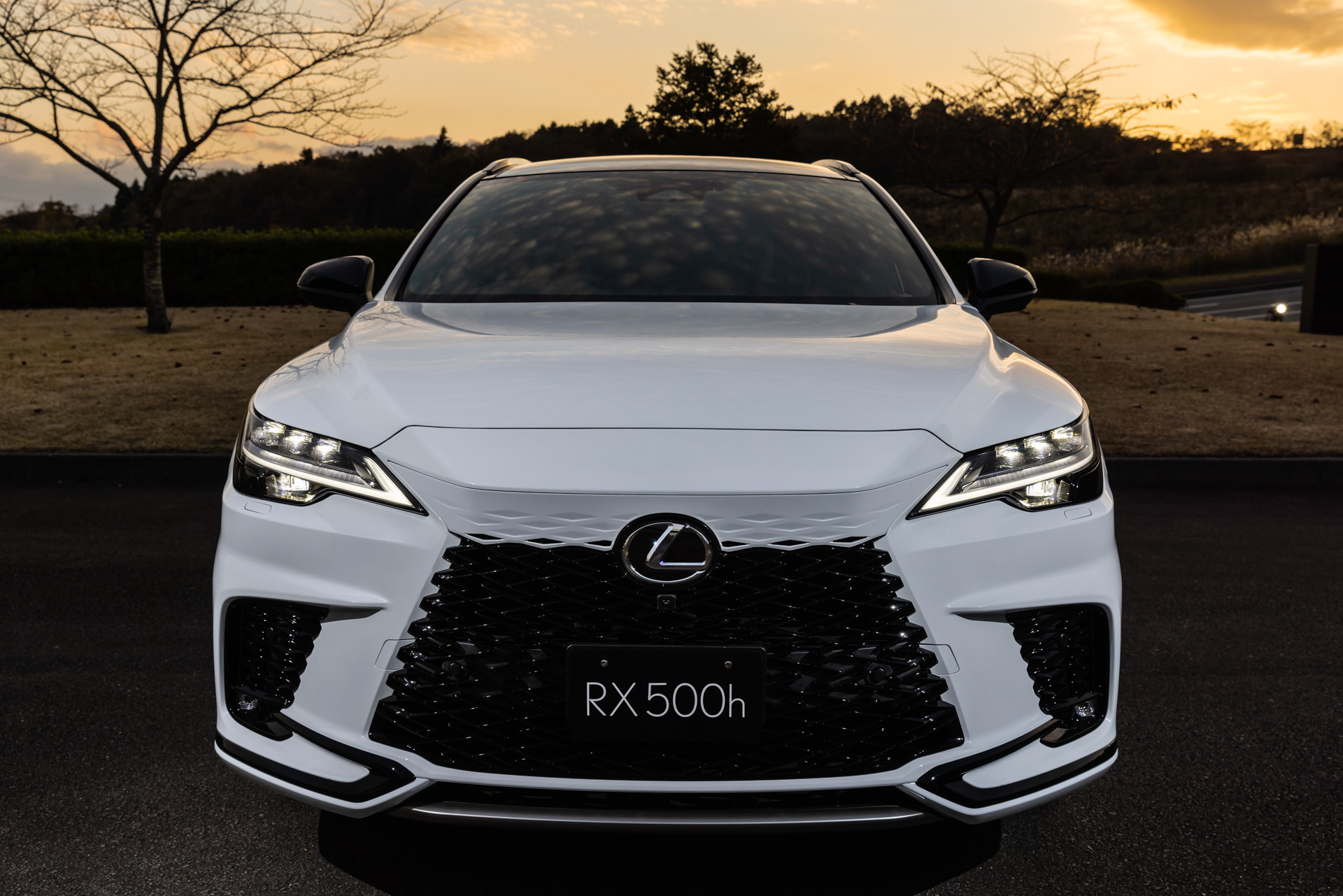 RX500h “F SPORT Performance”（ホワイトノーヴァガラスフレーク）＜オプション装着車＞