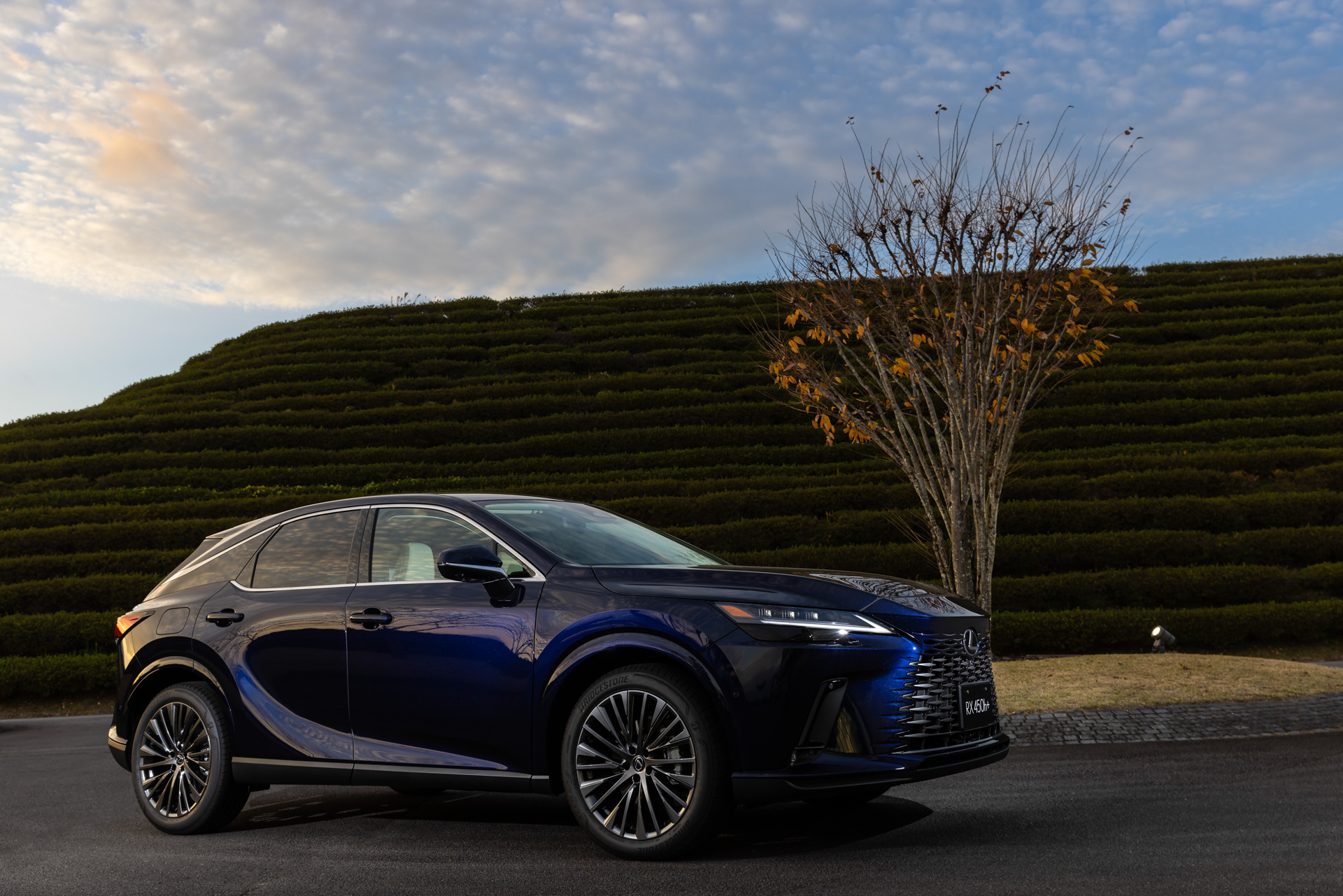 RX450h+ “versionL”（ディープブルーマイカ）＜オプション装着車＞