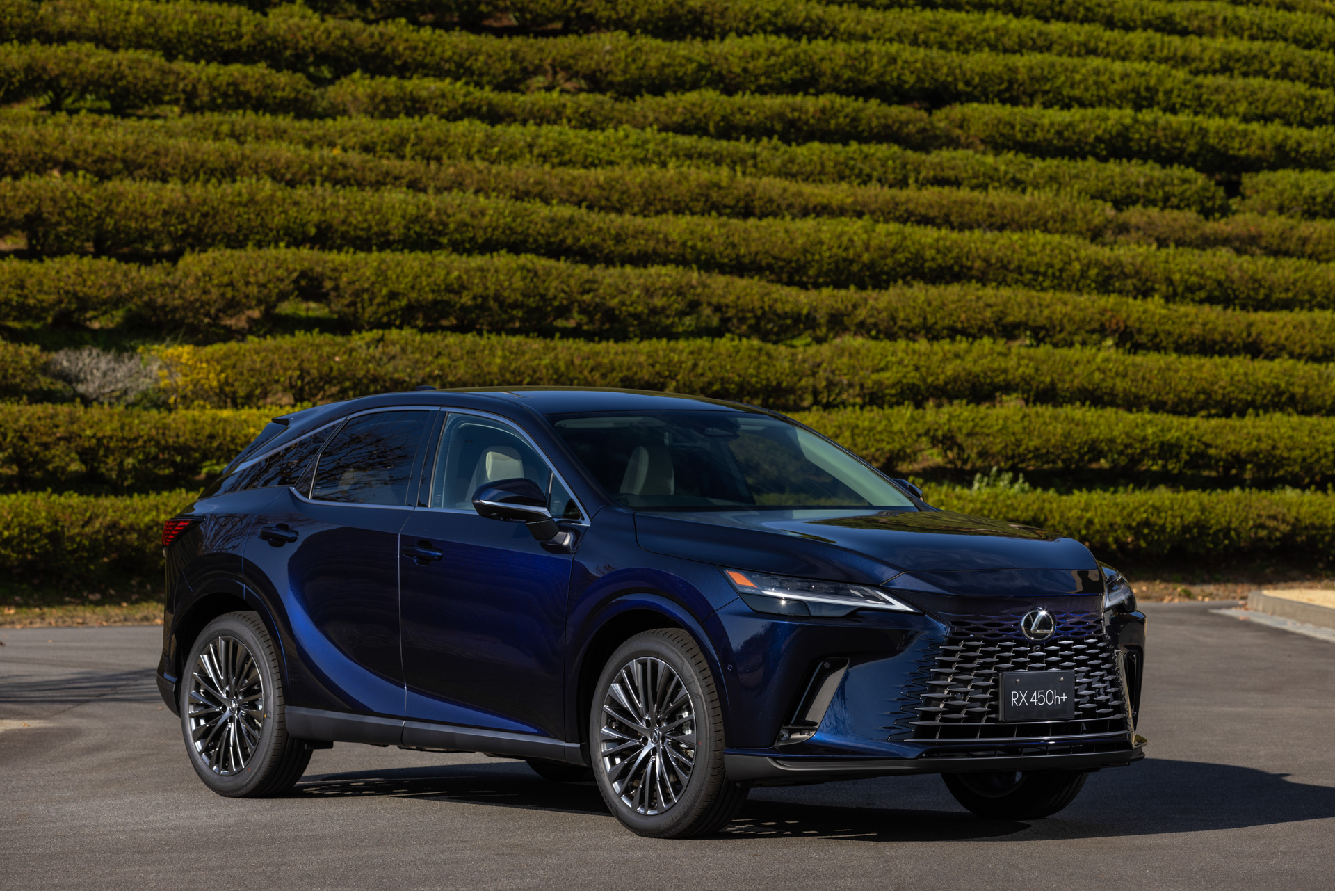 RX450h+ “versionL”（ディープブルーマイカ）＜オプション装着車＞