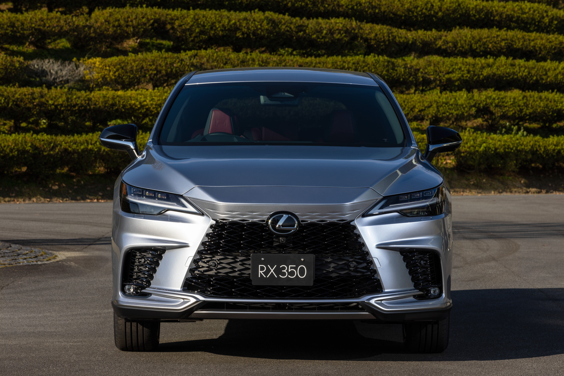 RX350 “F SPORT”（ソニックイリジウム）＜オプション装着車＞