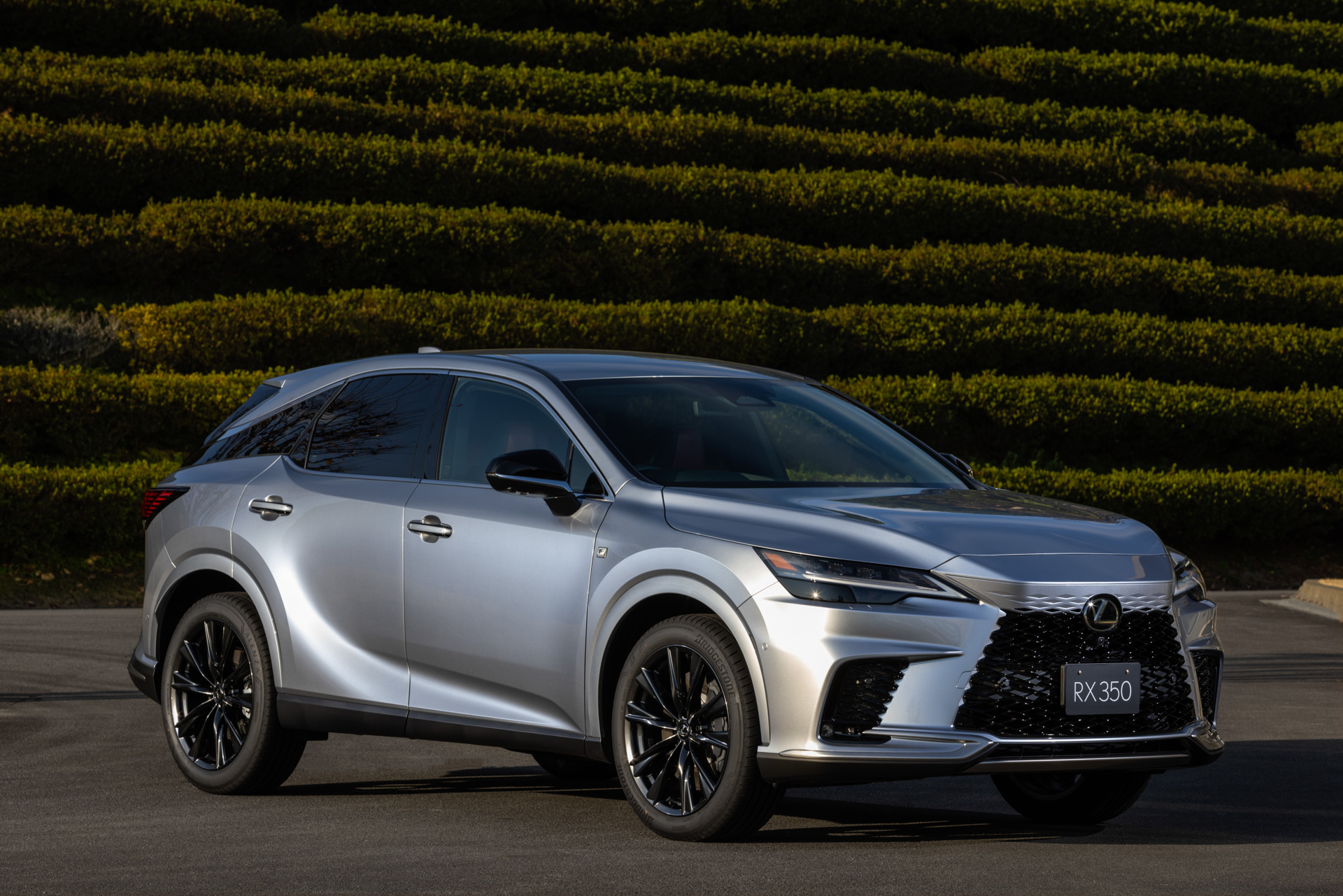 RX350 “F SPORT”（ソニックイリジウム）＜オプション装着車＞