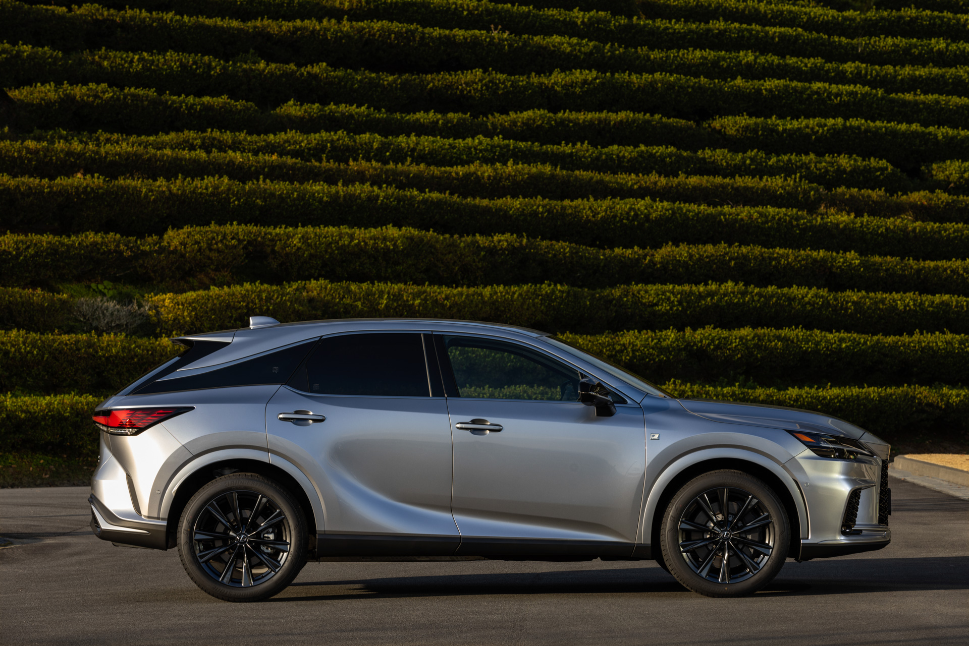 RX350 “F SPORT”（ソニックイリジウム）＜オプション装着車＞