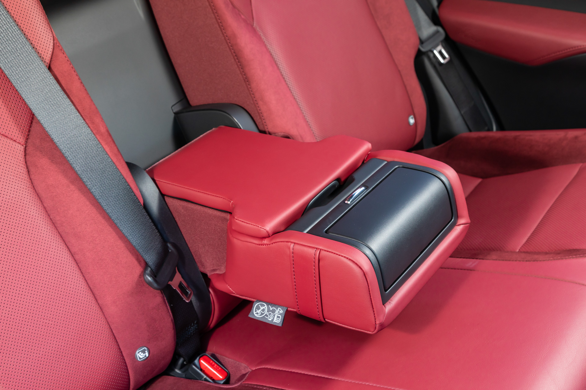 RX500h “F SPORT Performance”（インテリアカラー：ダークローズ）＜オプション装着車＞