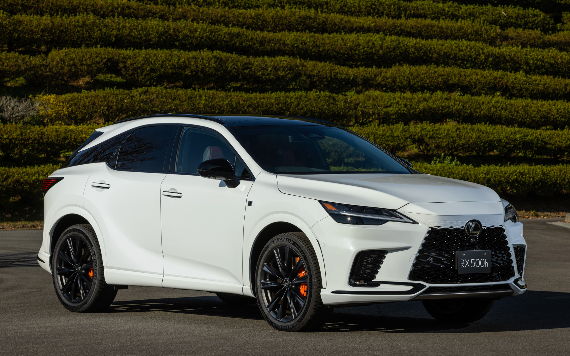 RX500h “F SPORT Performance”（ホワイトノーヴァガラスフレーク）＜オプション装着車＞