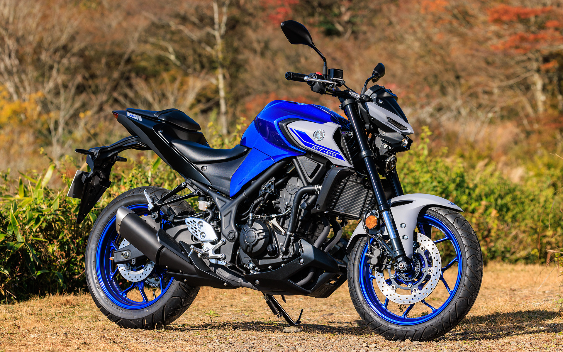 ヤマハ「MT-25」