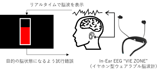 脳トレーニングのイメージ