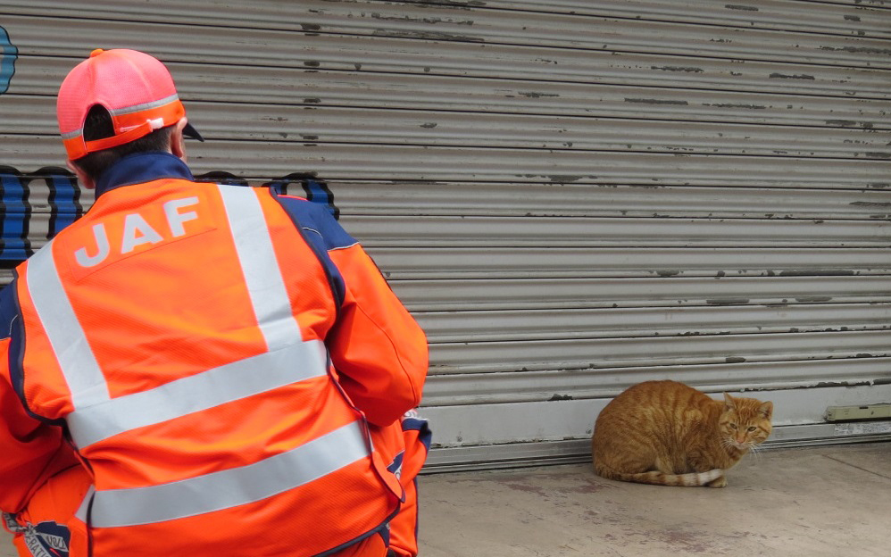 春や秋は猫がクルマに入りやすい季節
