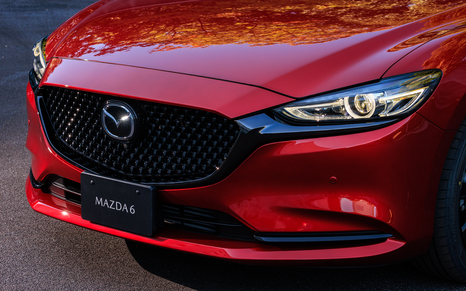 フロントグリル（グロスブラック）、フロントバンパーロアガーニッシュ（グロスブラック）