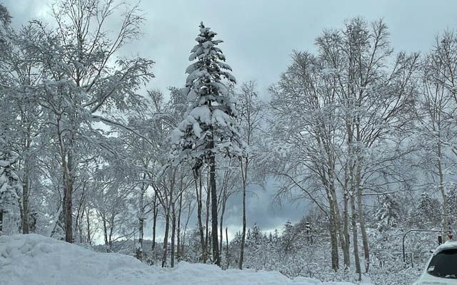 旭岳ロープウェイ近く、－6度の世界。すべてが凍り付いてしまいそうです