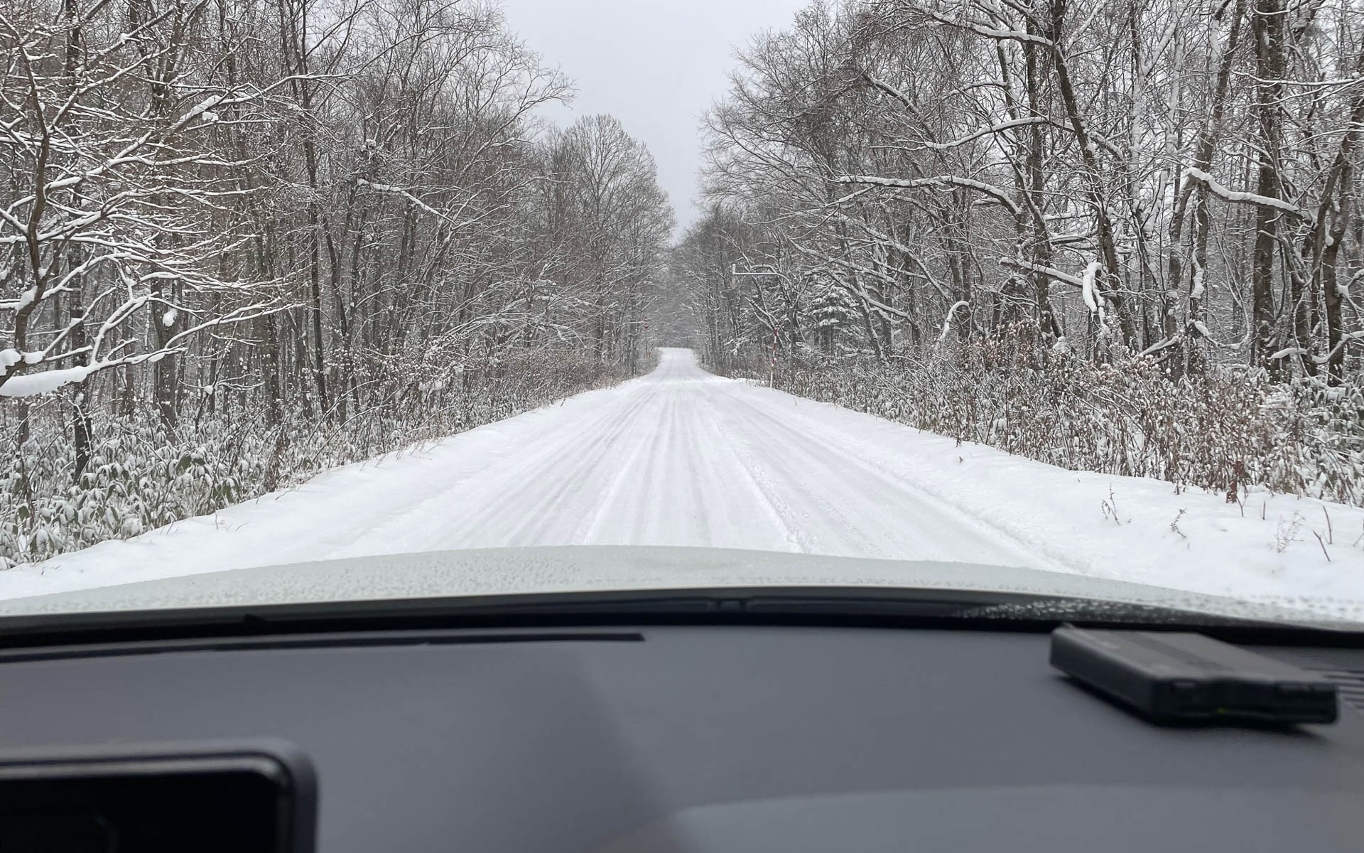 旭岳へのストレート。北海道ならではの長い直線です