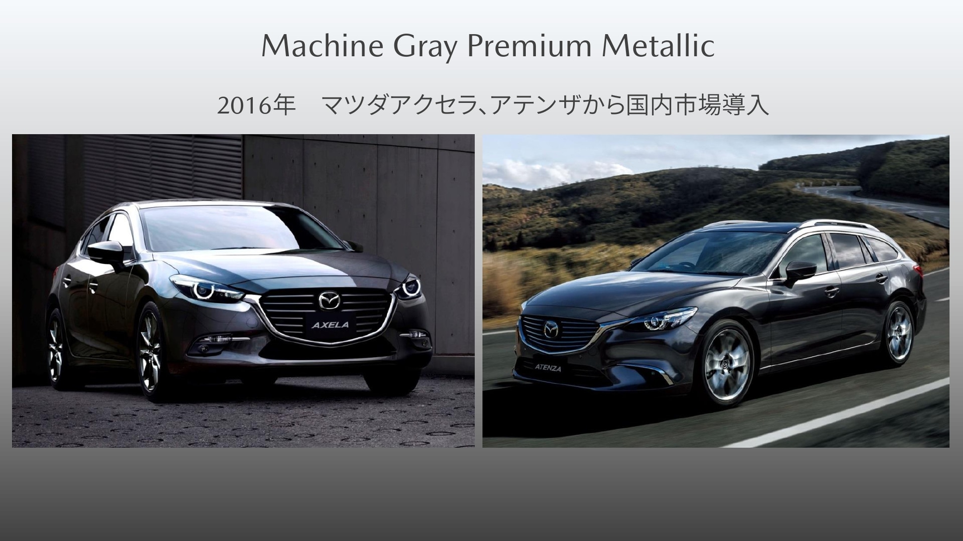 日本国内には2016年に導入された