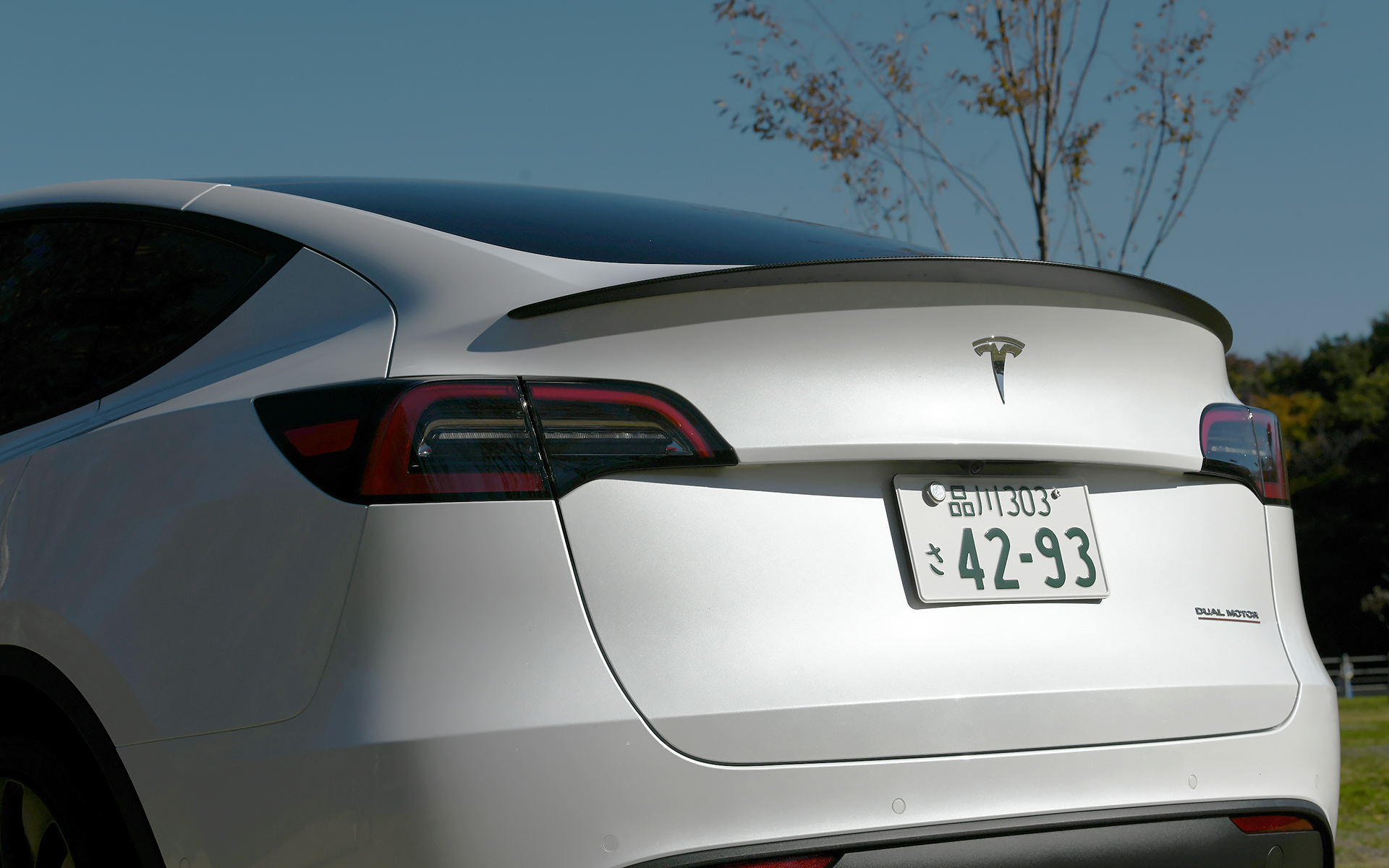 エクステリアはテスラらしいすっきりしたデザインを継承。天井はパノラミックルーフを採用し、リアウィンドウまで流れるようなフォルムを作り出している