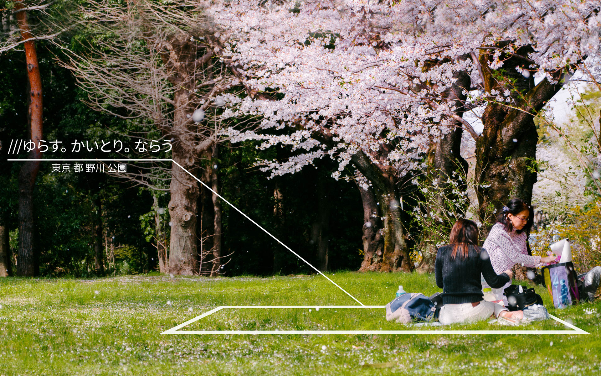 what3wordsのイメージ