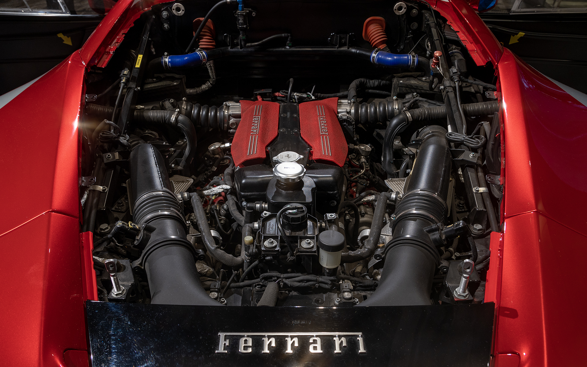 フードを外した状態