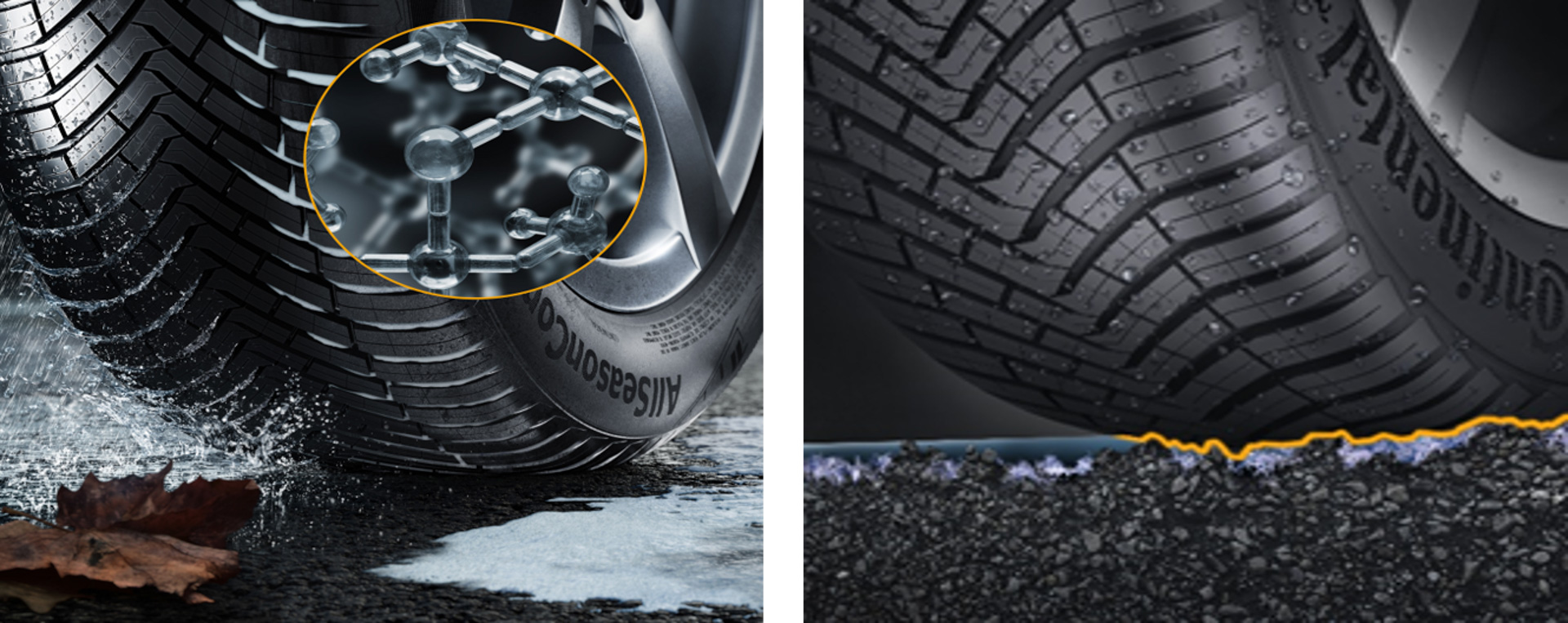 アダプティブ・オールシーズン・コンパウンド