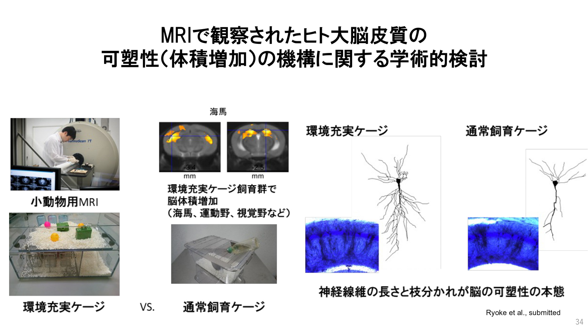 東北大学 加齢医学研究所所長の川島隆太氏のプレゼンテーション資料