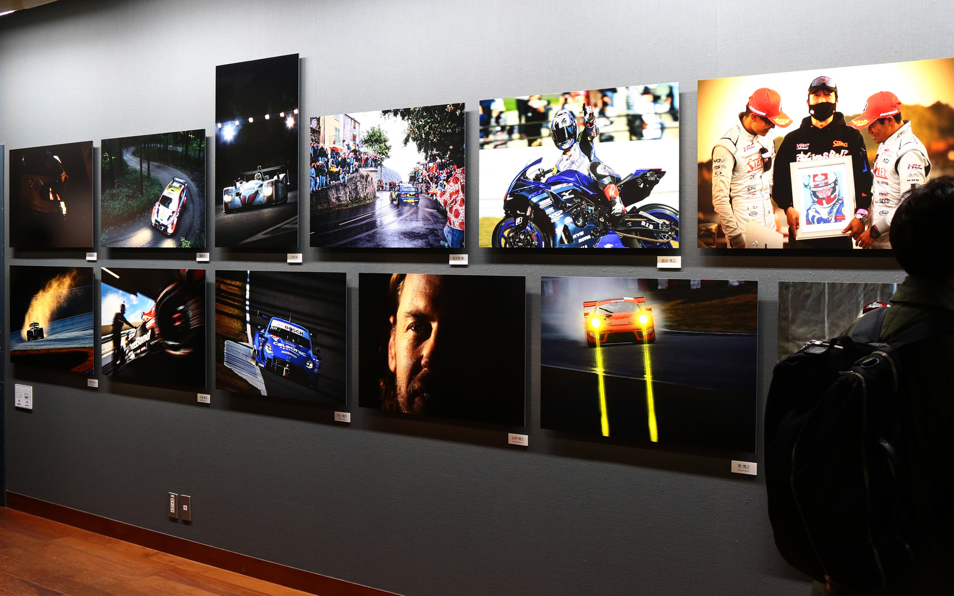 48点の作品が展示されている