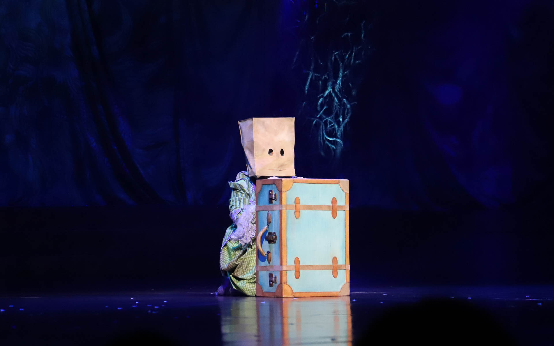 パフォーマンスとパフォーマンスの間には、ミュージシャンやクラウン、時には観客もステージに招かれ、笑いを誘い、感動をもたらす