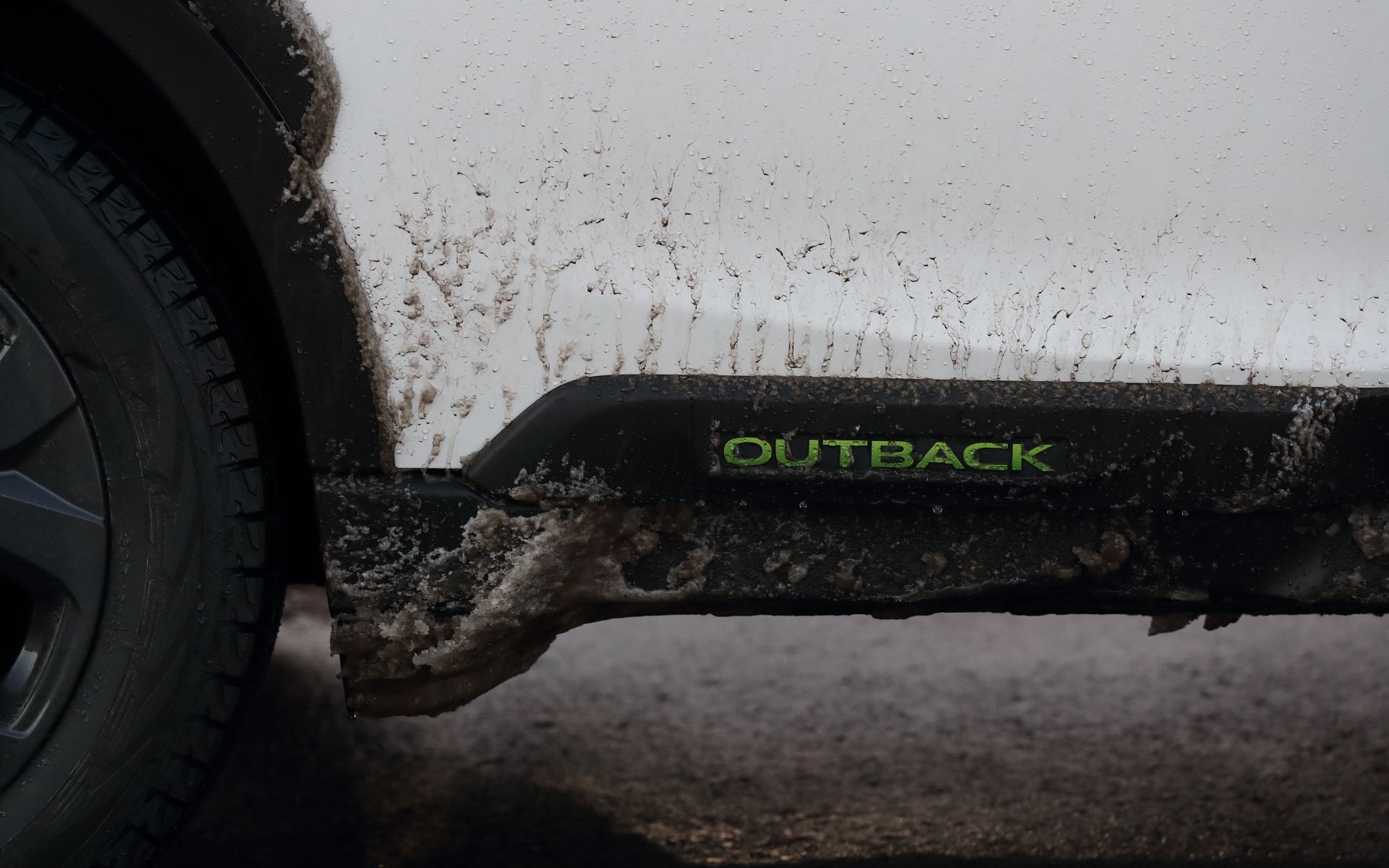 シートのステッチやルーフレール、サイドシルのOUTBACKロゴにライム色の“エナジーグリーン”の差し色が用いられている