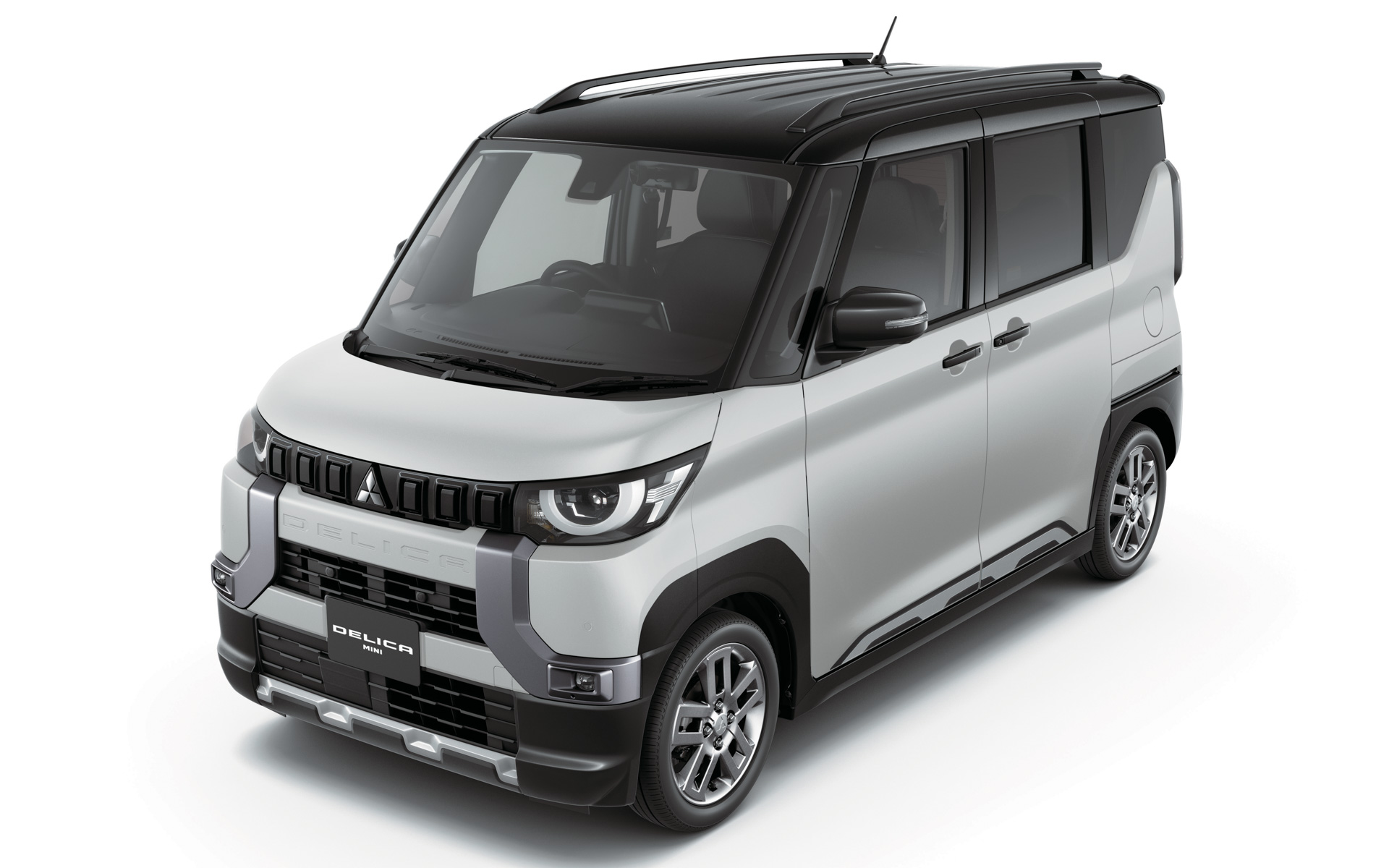 ホワイトパール/ブラックマイカ（有料色）