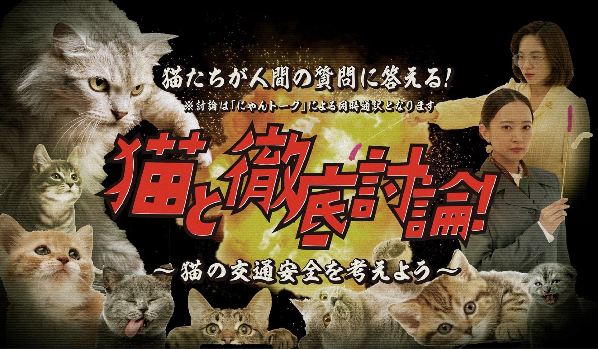 イエローハットは猫の日である2月22日に「全国交通にゃん全運動」を実施する